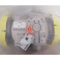 VGD40.065L西門子燃?xì)怆姶砰y組